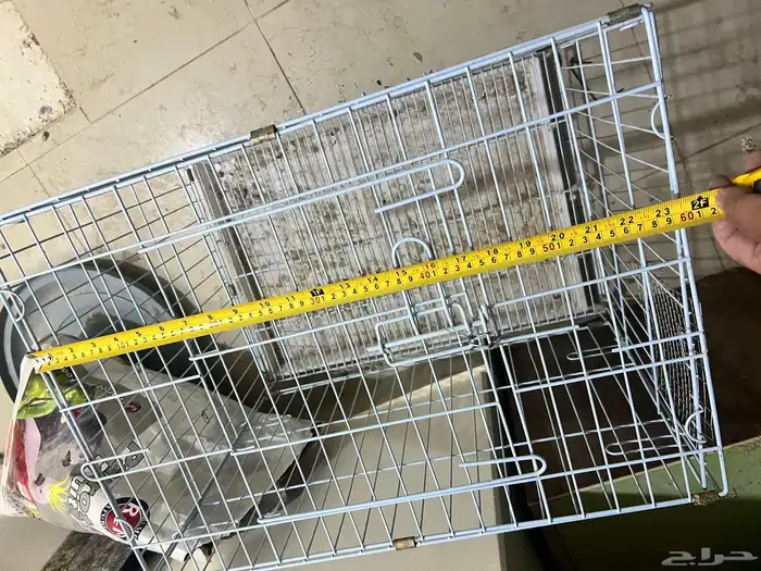 شبوك حيوانات 1