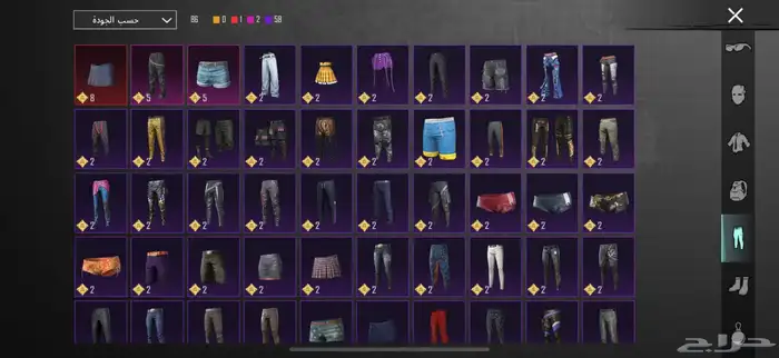 حساب ببجي للبيع 17