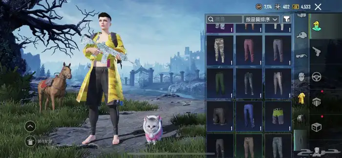حساب ببجي للبيع 10