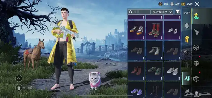 حساب ببجي للبيع 12