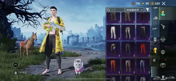 حساب ببجي للبيع 6