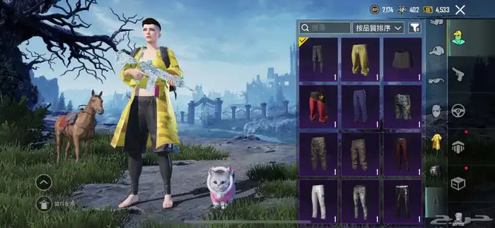 حساب ببجي للبيع 3
