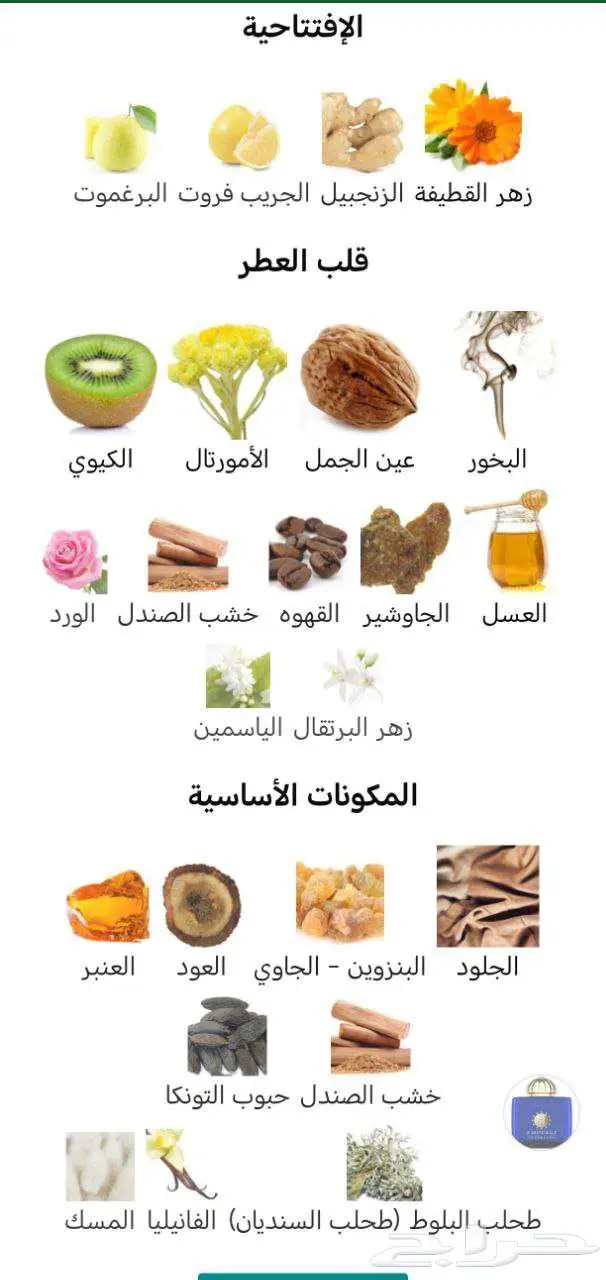 للنساء و الرجال أرقي عطور أمواج صانعة الدرر العمانية 4