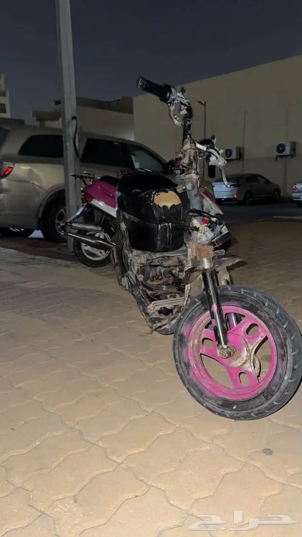 دباب بطه نواع همبرته 0