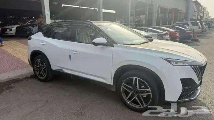 دونج فينج ميج فل كامل 2026 11