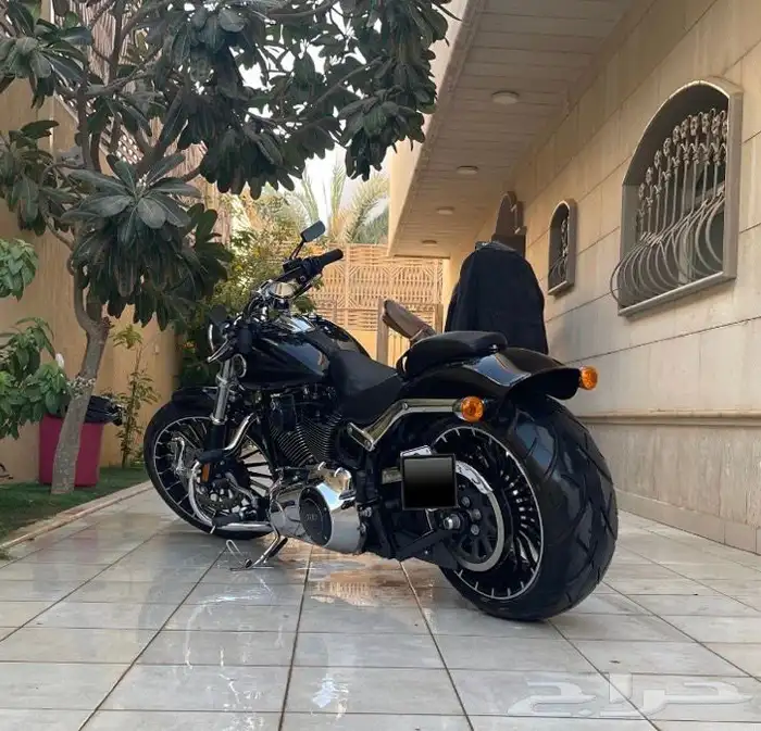 هارلي ديفيدسون بريك آوت 2