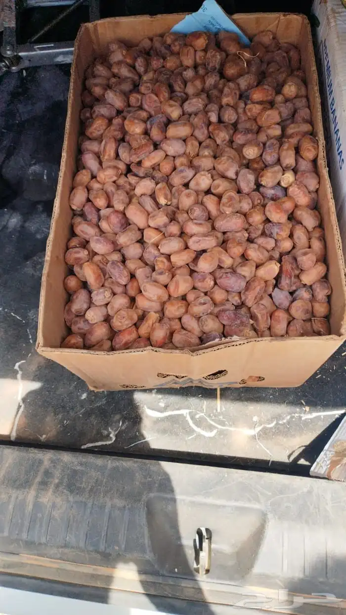 اخلاص حساء طيب الكمية كبيرة 3800كرتون موز كبير 2