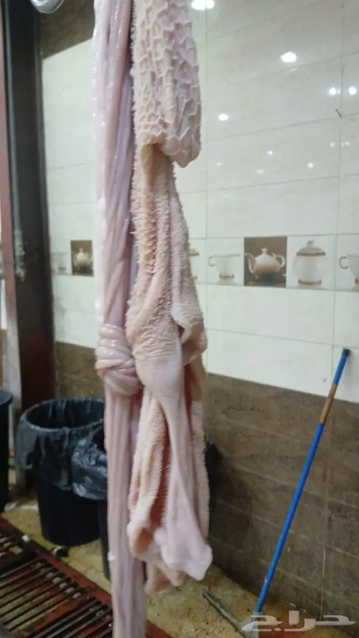 ذبائح للبيع 2