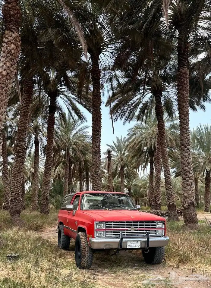 بليزر 1982 شفر 4