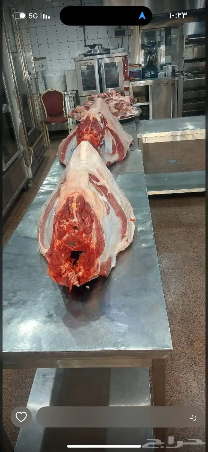 ذبيحتك لباب بيتك 4
