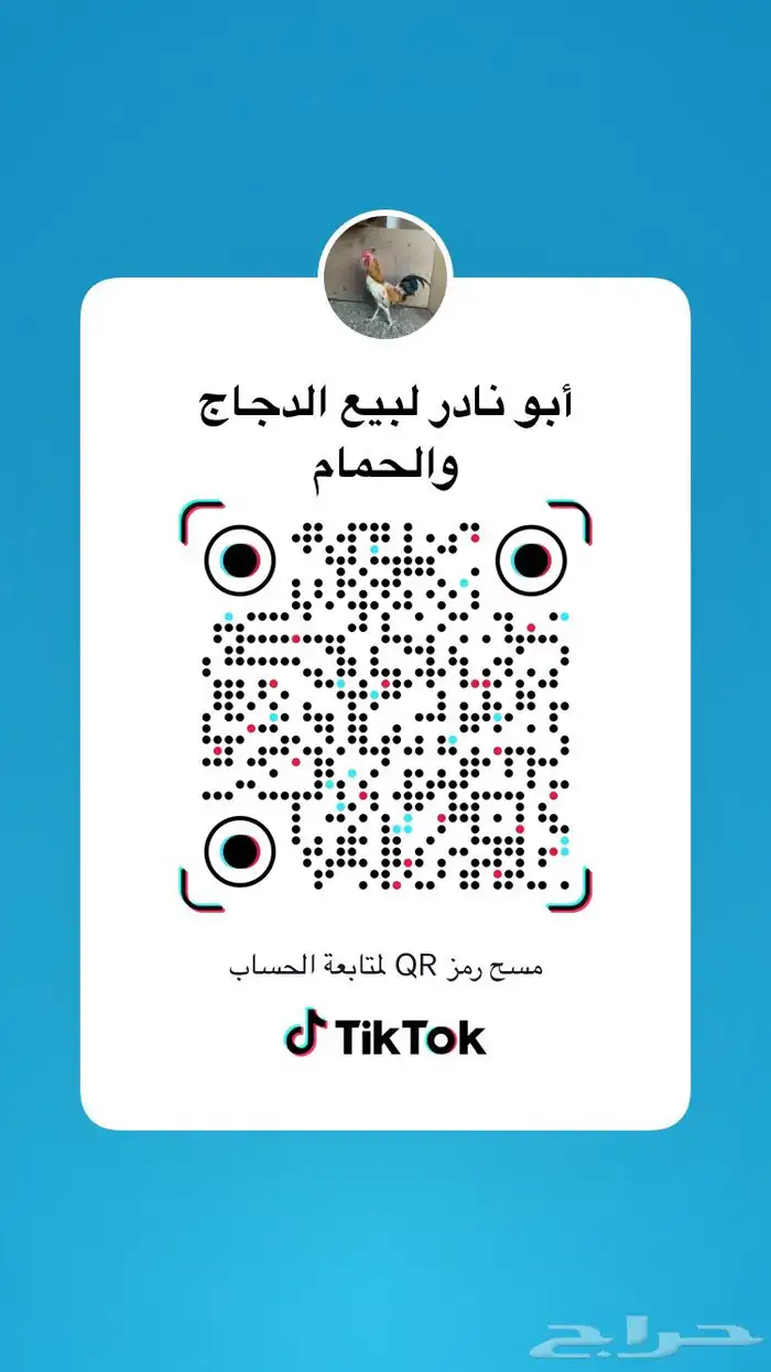 أرانب  يتوفر إن شاء الله  ونزل إعلان 3