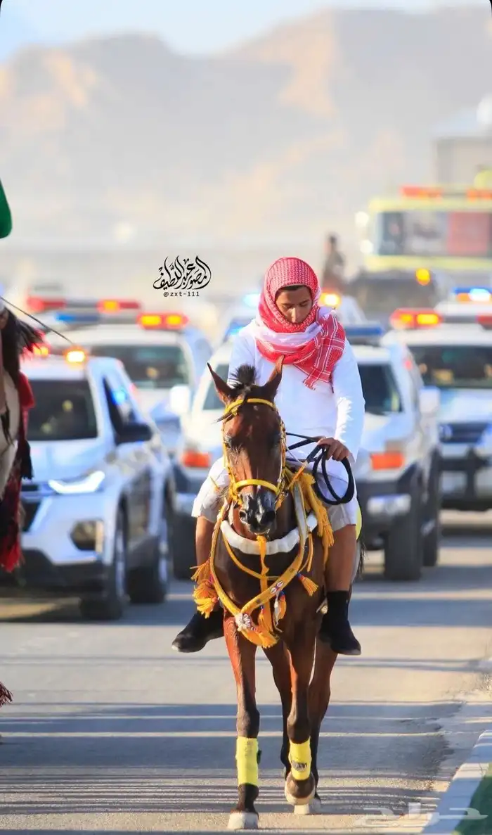 خيل شعبي اللبيع حصان طرب الي يبغاء الطرب ليفوته 2