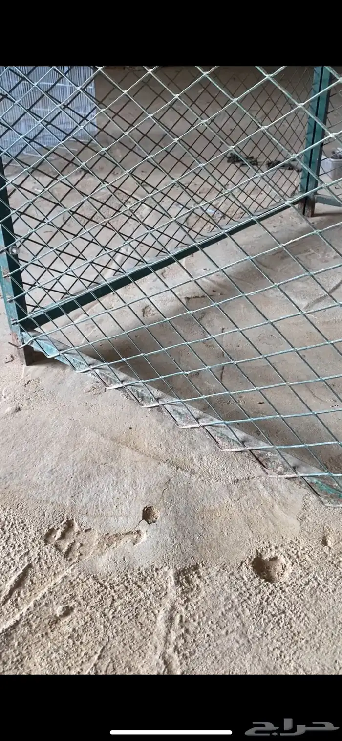 عشش طيور للبيع 3