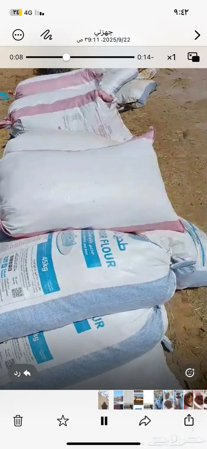 تمر حق حلال سنه الجديده. موقع ينبع بدر 0