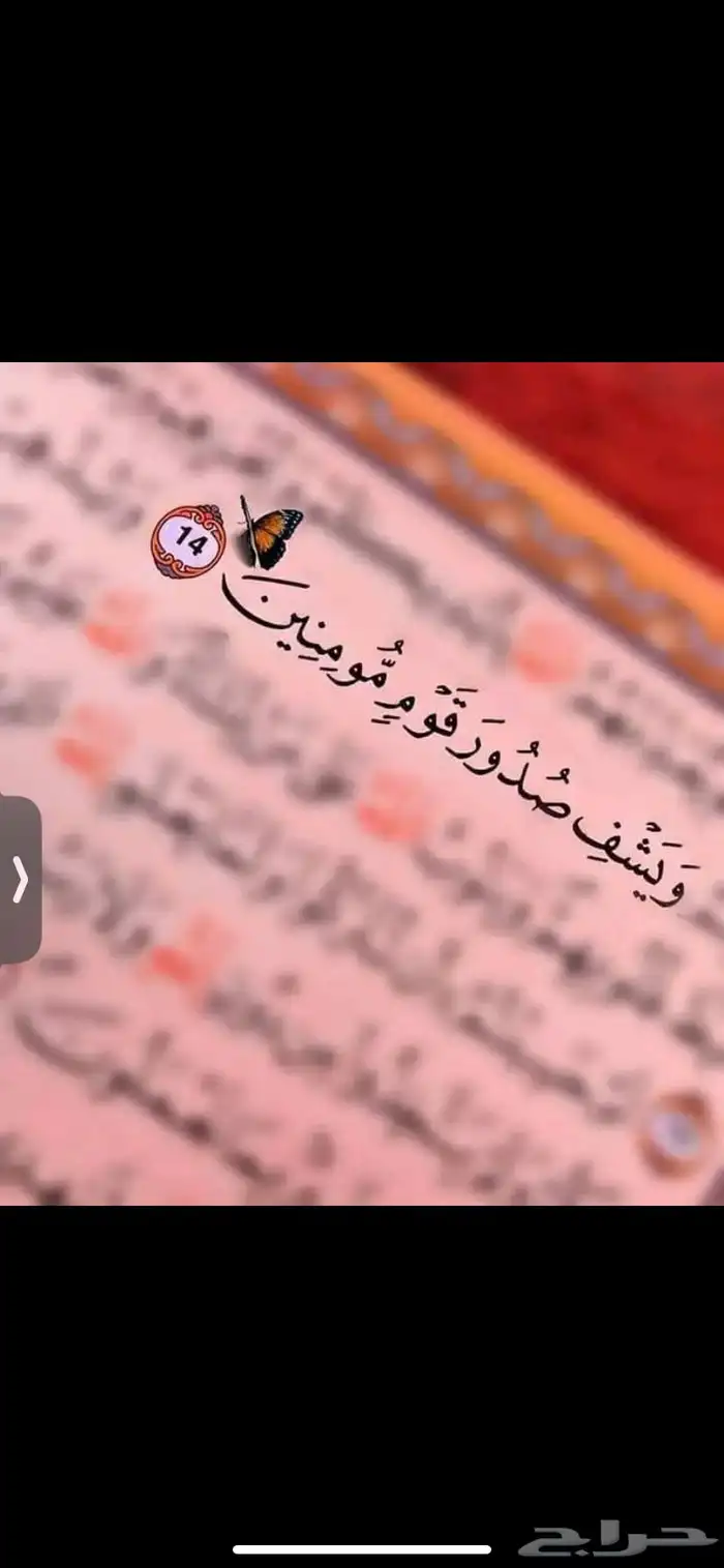 معلمة ومحفظة قرآن اون لاين 0