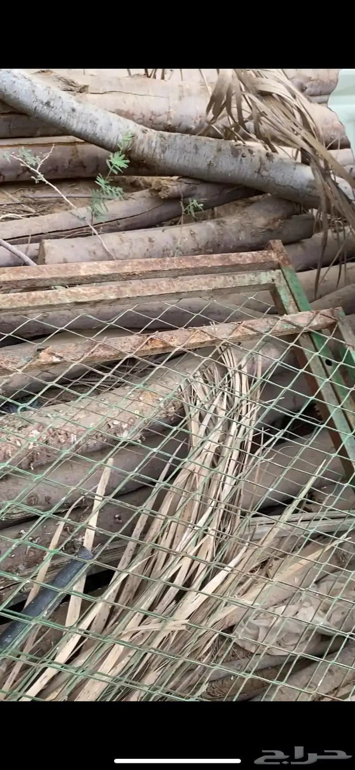 عشش طيور للبيع 2