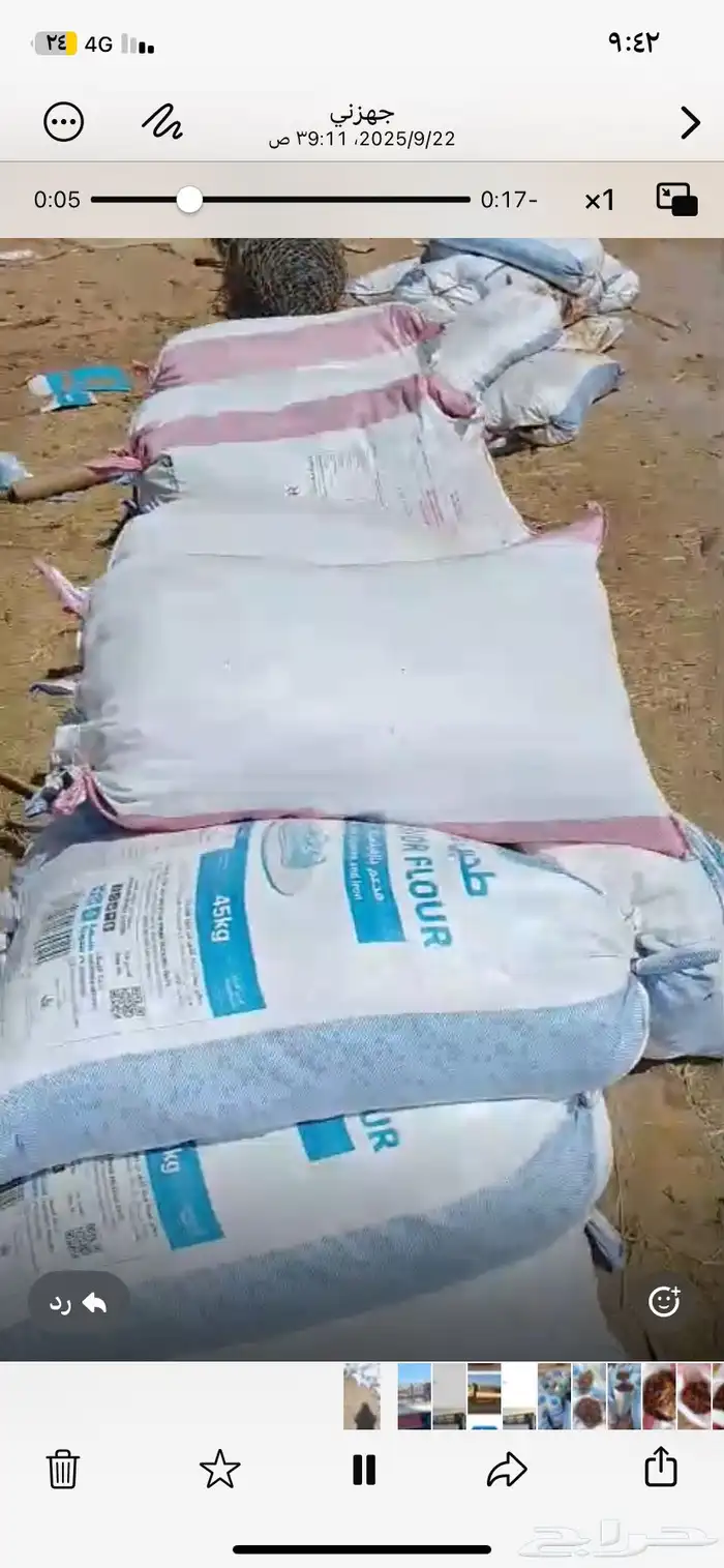 تمر حق حلال سنه الجديده. موقع ينبع بدر 2