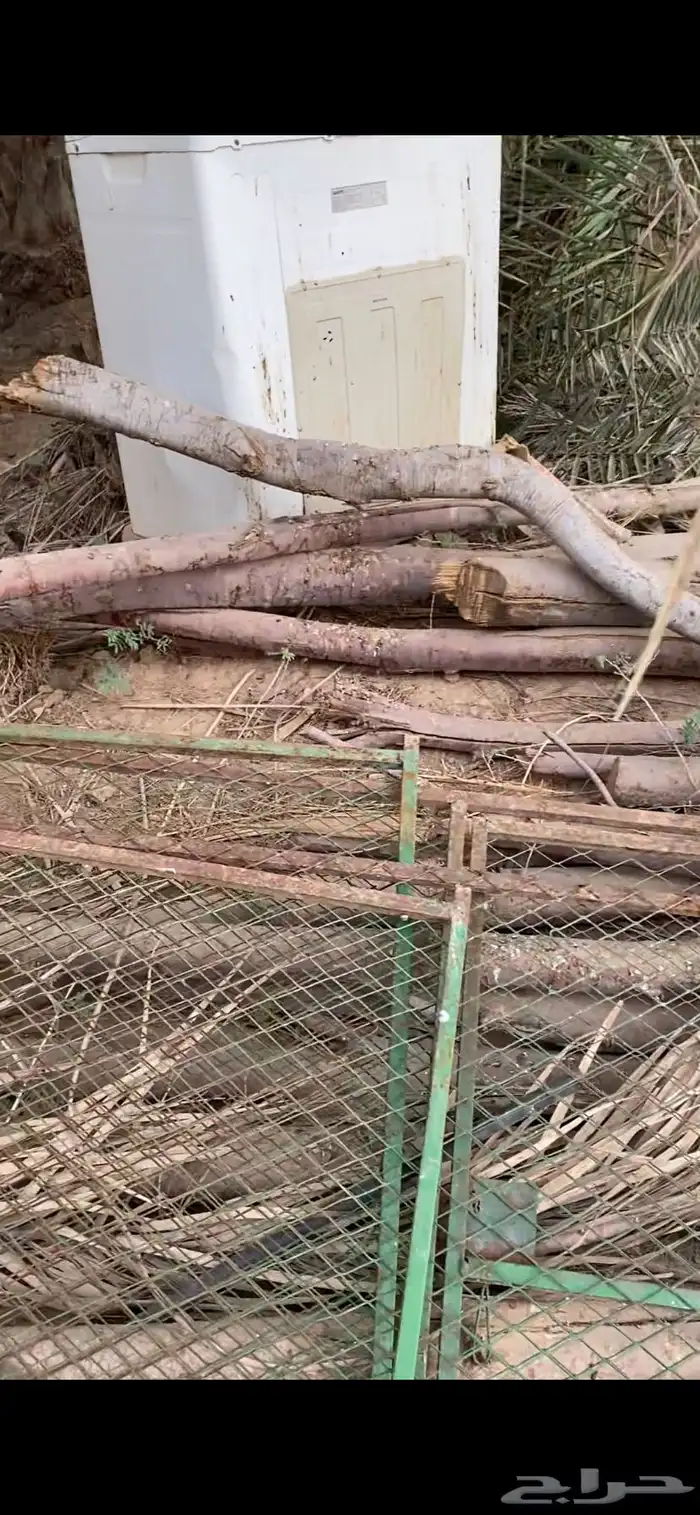عشش طيور للبيع 4