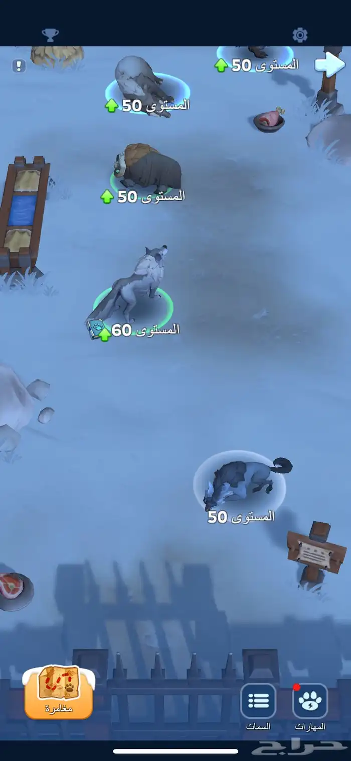 النجاة في الصقيع 25