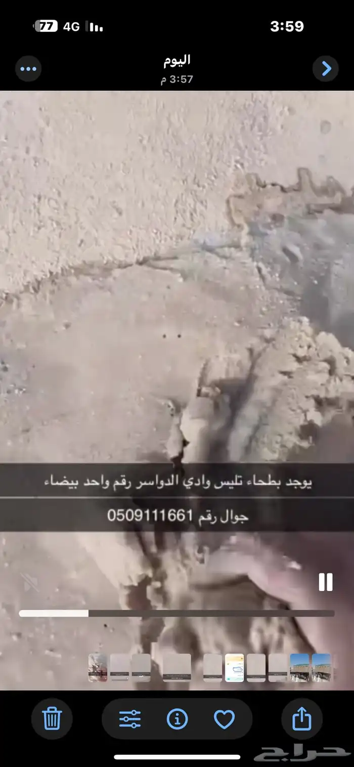 بطحاء تليس وادي الواسر ابيض رقم واحد ابهاء خميس مشيط احد ر 0