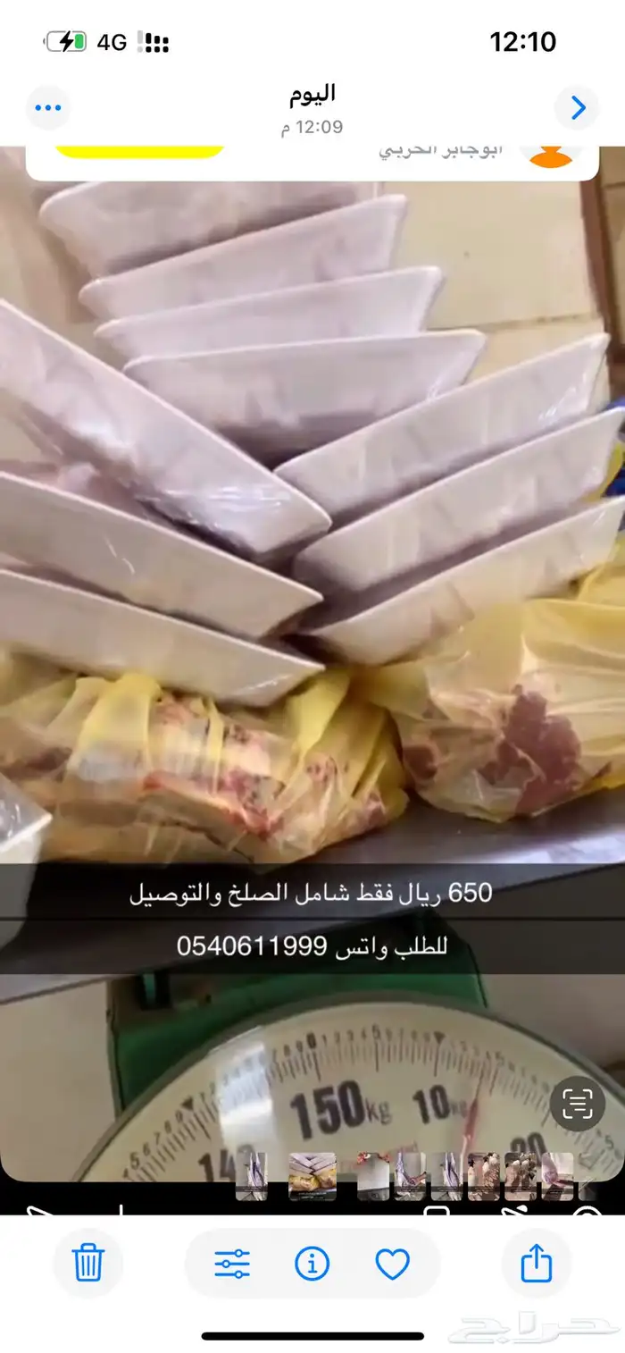 برابر جذعان 1