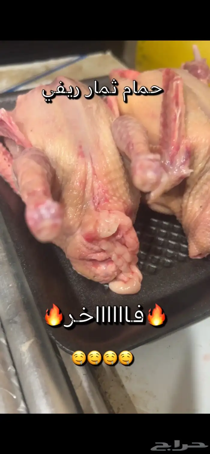 فراااخة حمام فرنسي على كيف كيفك 1