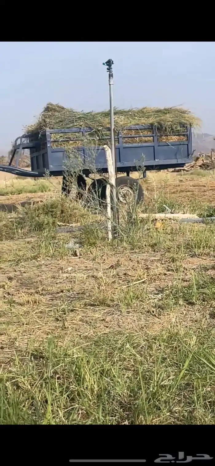 حنطور خيل للعلف 2