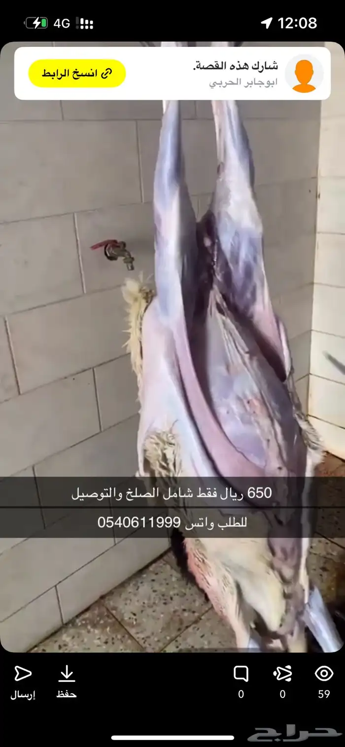 برابر جذعان 4