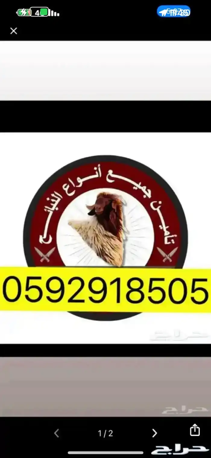 ذبايح 0