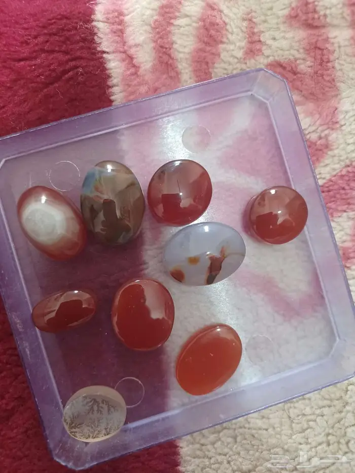 عقيق كبدي يمني علا الشرط 0