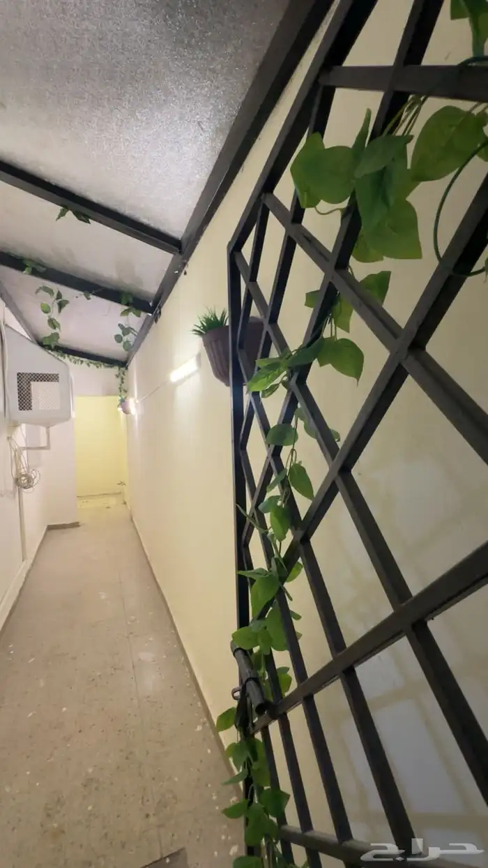 شقق للايجار 8