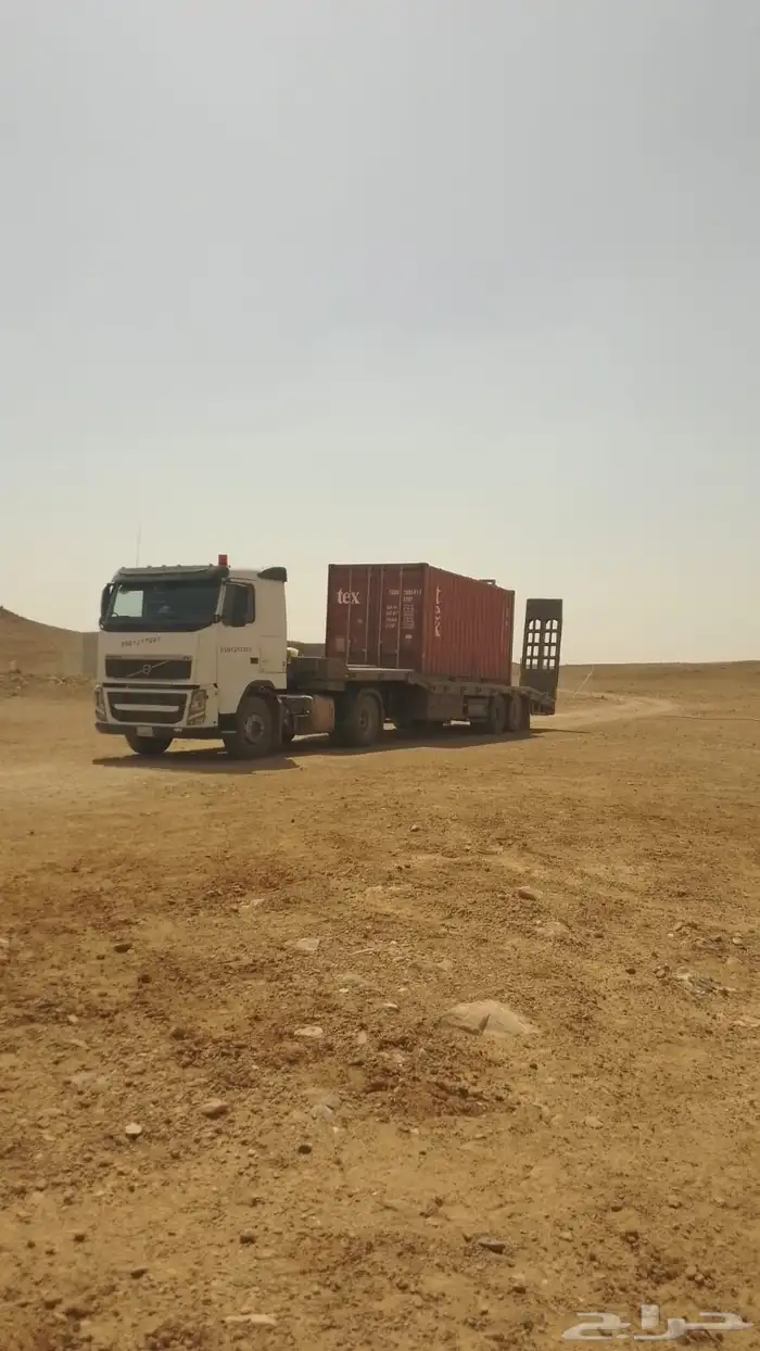 لوبد في المجمعة أبودرهم 0