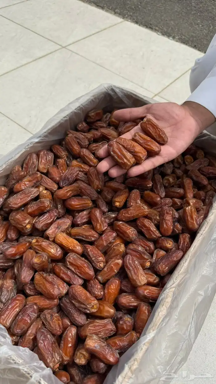 تمر صفري صافي حبه كبير 1
