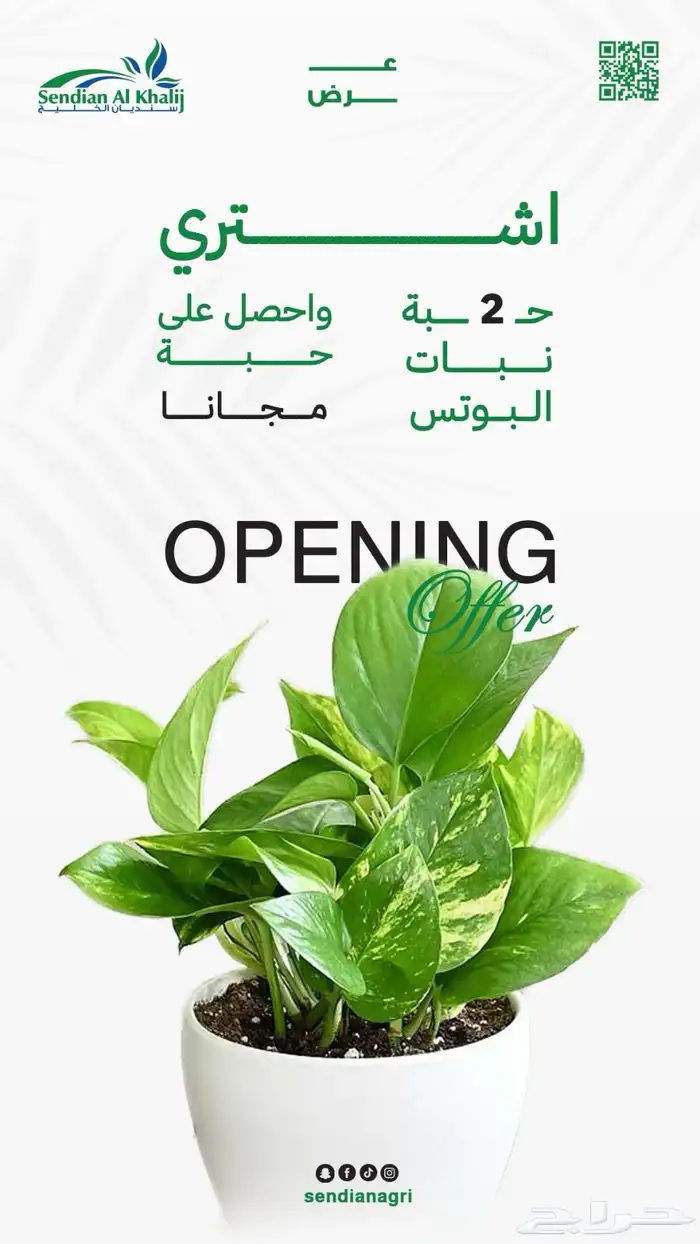 مصمم جرافيك 23