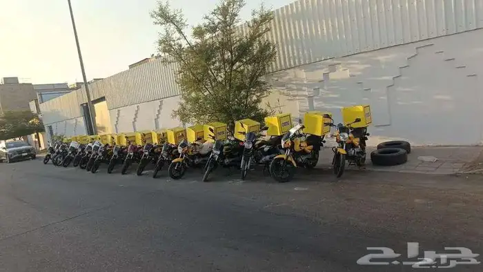 19 دباب للبيع 2