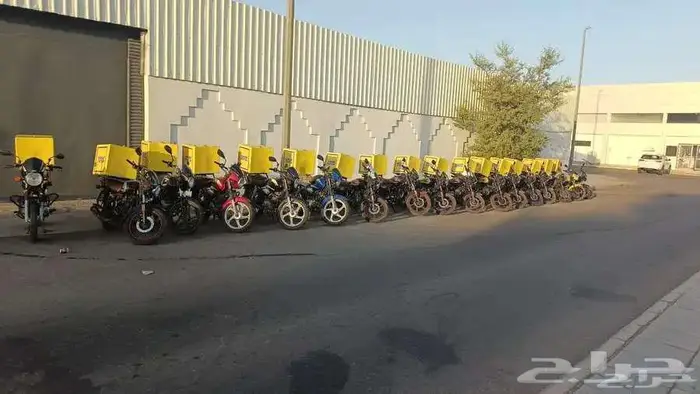 19 دباب للبيع 1