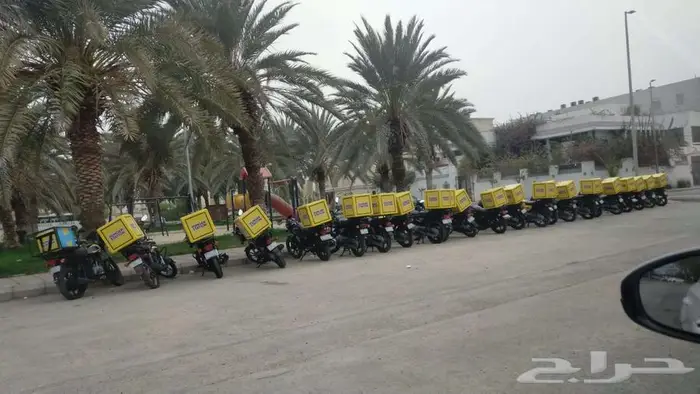 19 دباب للبيع 0