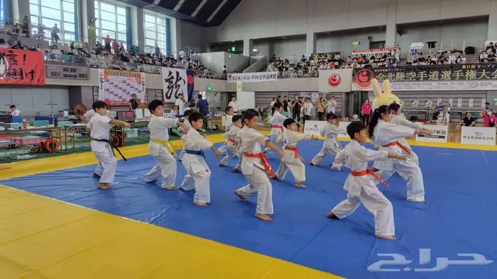 مدرب كاراتيه ولياقة بدنيه 2