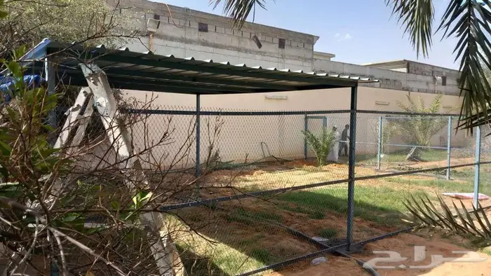 حداد لحام 5