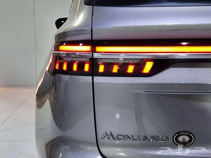 جيلي مونجارو فل كامل بلس 2024 16