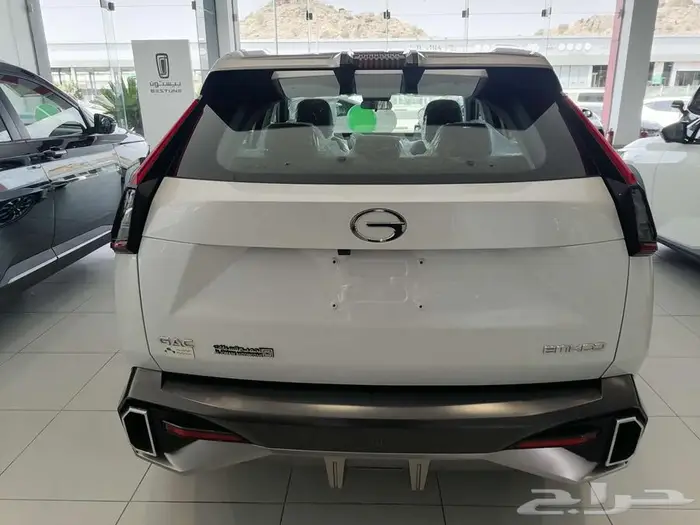 GAC EMKOO GL-Full 2025 3