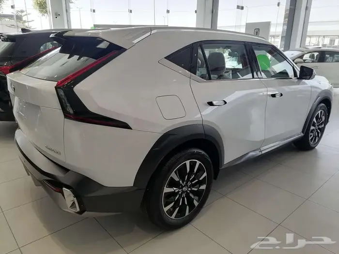 GAC EMKOO GL-Full 2025 4