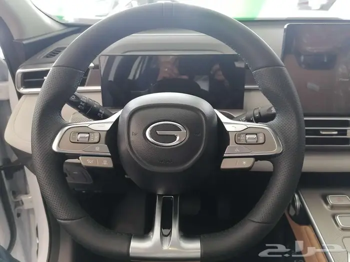 GAC EMKOO GL-Full 2025 17