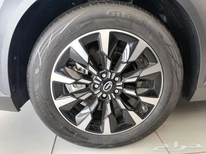 GAC EMKOO GL-Full 2025 24