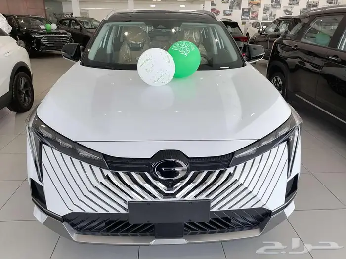 GAC EMKOO GL-Full 2025 0