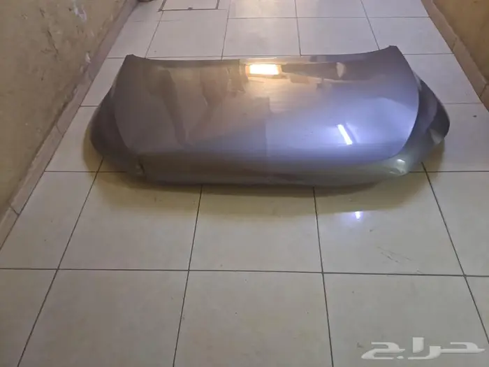 كبوت لون فضي كابتيفا البيع مستعجل 2