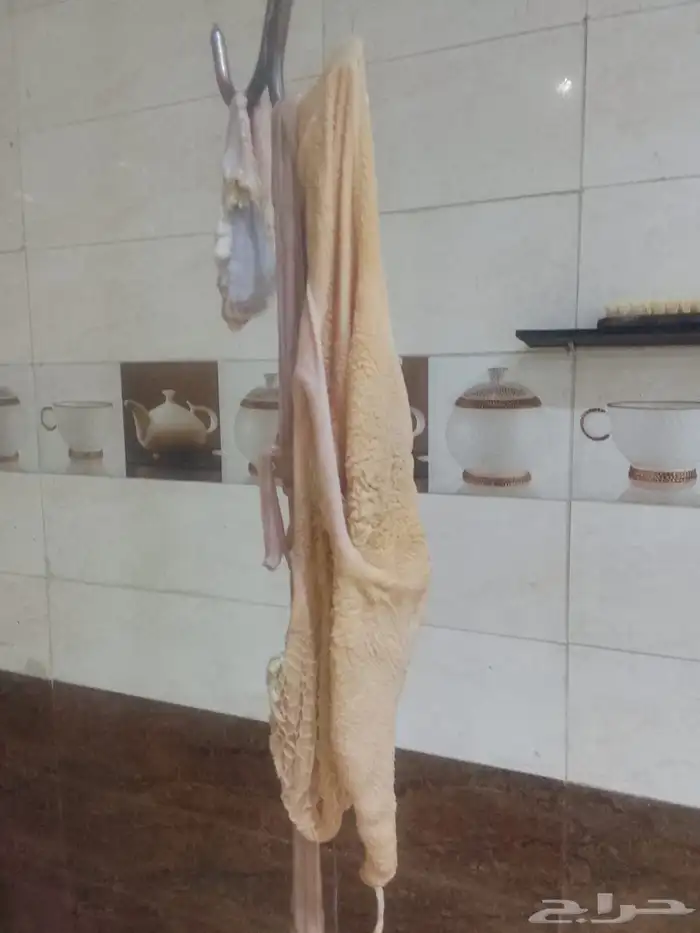 ذبائح للبيع 6