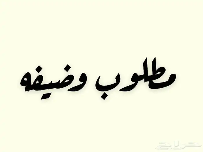 مطلوب وضيفه 0