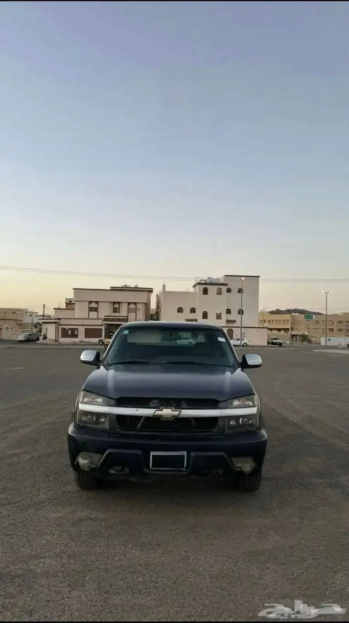 افلانش 2006 17