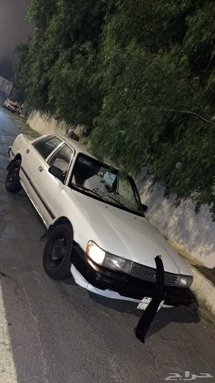 كراسيد XL 1